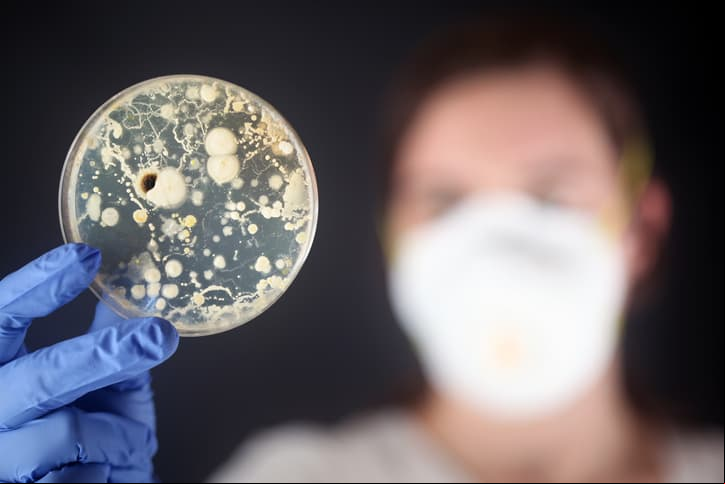 Descubren un “sello nuevo y emergente del cáncer”: hongos que colonizan los tumores malignos