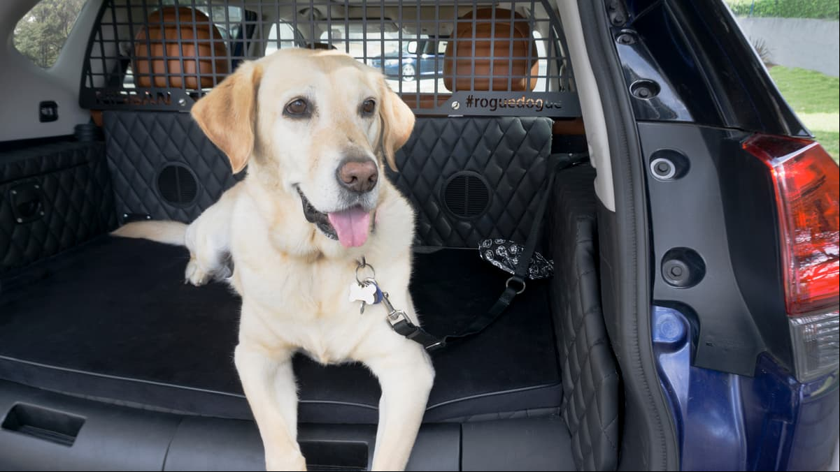 <b>Area de carga:</b>
<br>
<br>Si ubicas a tu perro en la cajuela, sin 
<b>caja transportadora</b>, es recomendable que vaya sujeto con una correa.