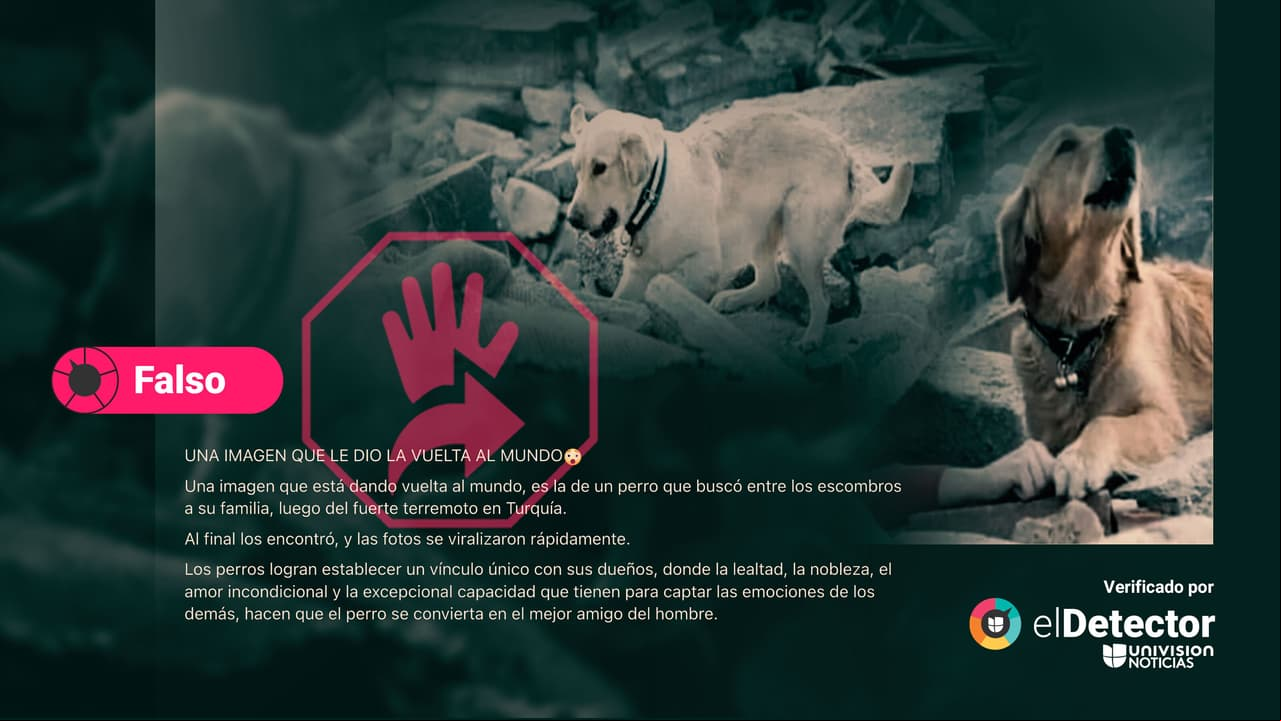 Esas fotos de un perro sobre escombros no son de los terremotos en Turquía: se tomaron en 2018 
