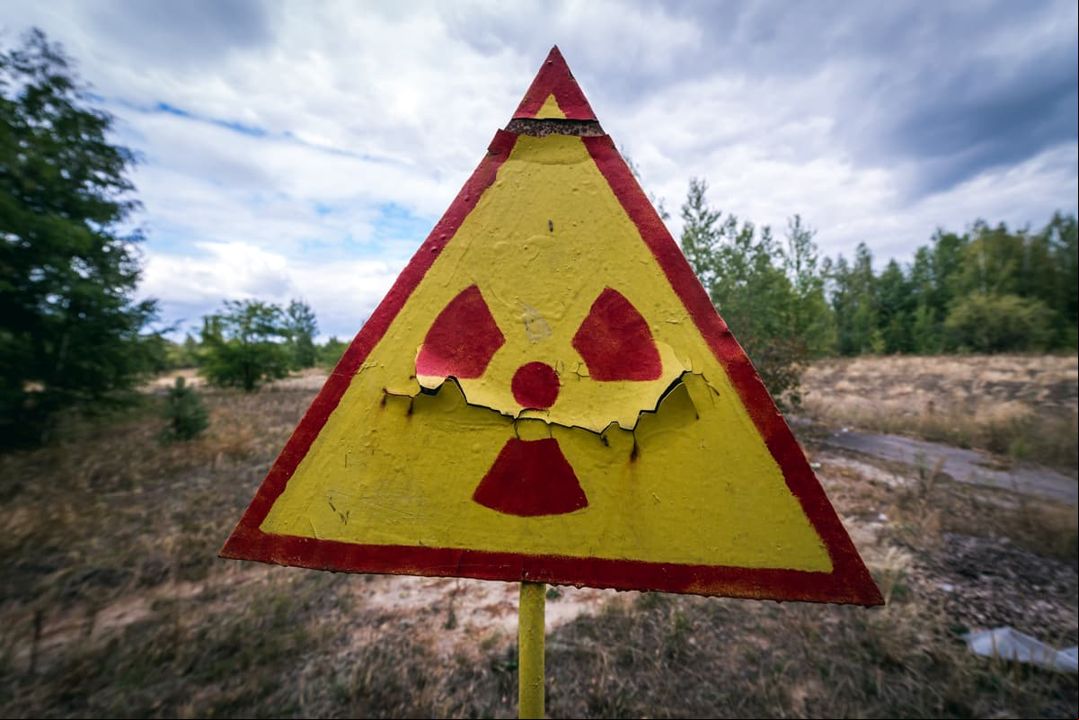 Encontraron un hongo en Chernobyl que podría ser reclutado por los X-Men