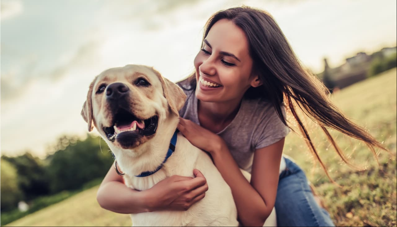 ¿Tu perro es el más inteligente? Su raza podría influir en su intelecto