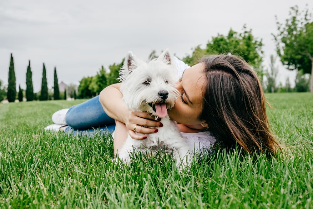 Tu perro cambia la personalidad con los años y se parece cada vez más a ti, según estudio