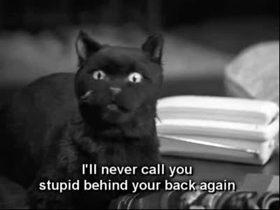 13 razones por las que Salem siempre será nuestro gato favorito de la televisión